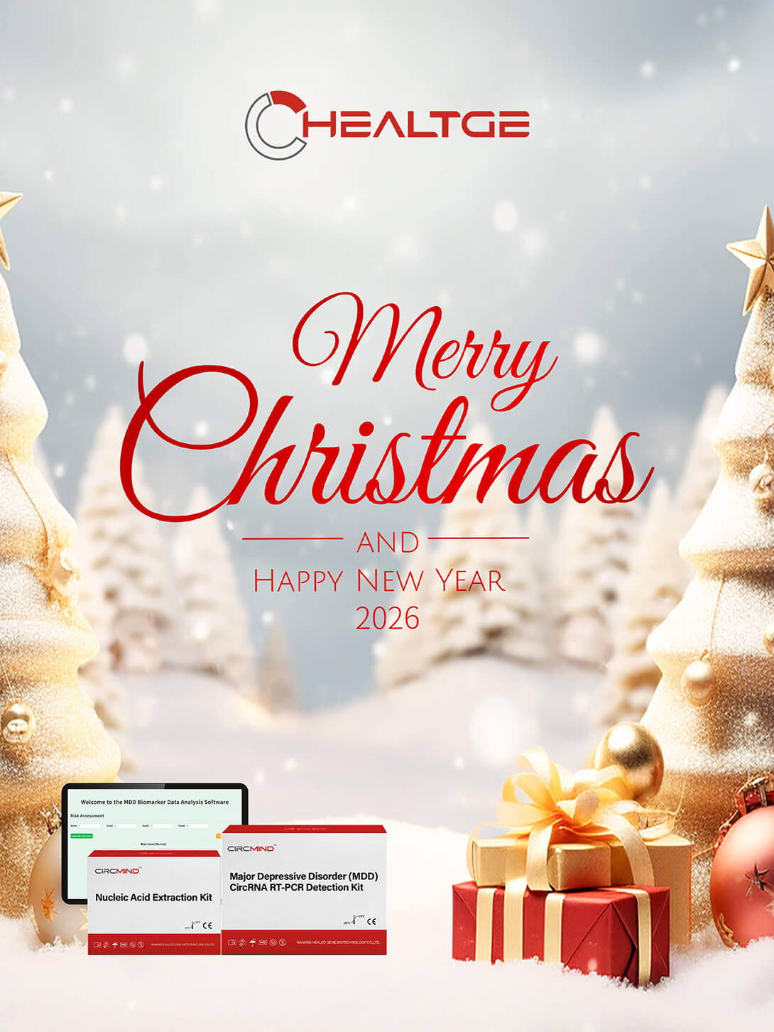 C'est la saison de la joie, de la réflexion et des nouveaux départs. 🎄✨